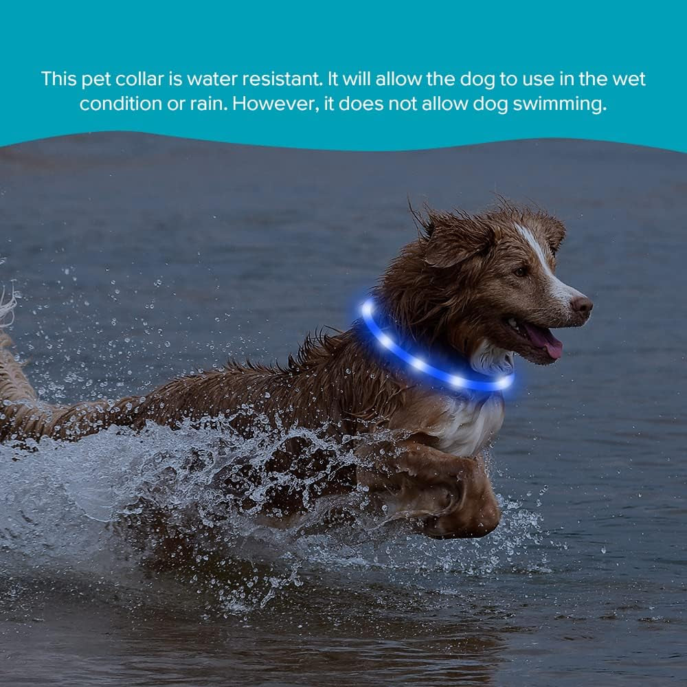 LED Dog Collar Light - USB Rechargeable Flashing LED Necklace for Camping (Blue Silicone)