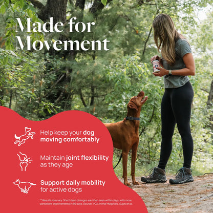 Hip & Joint Support Mobility Supplement for Dogs, Smart Vitality Glucosamine Chews, 60 Soft Chews