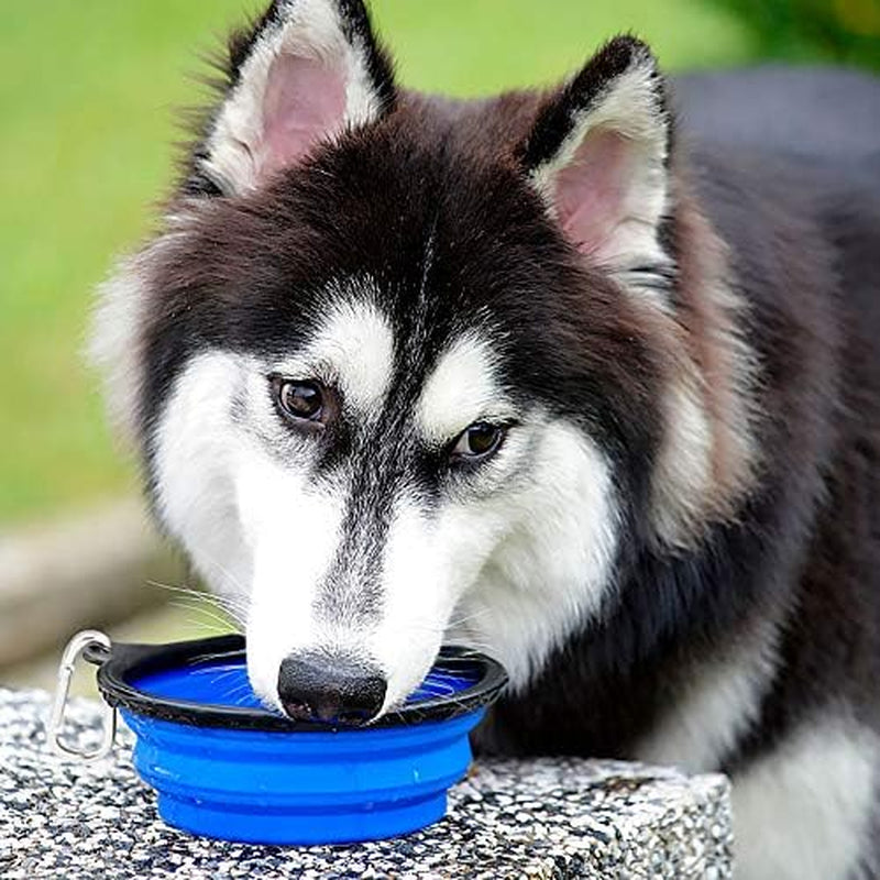 Large Collapsible Dog Bowls - 2 Pack, 34oz Foldable Travel Bowls for Pets, Portable Water and Food Dishes with Clasp, Ideal for Traveling, Walking, and Hiking (Blue & Green)