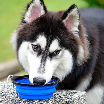 Large Collapsible Dog Bowls - 2 Pack, 34oz Foldable Travel Bowls for Pets, Portable Water and Food Dishes with Clasp, Ideal for Traveling, Walking, and Hiking (Blue & Green)