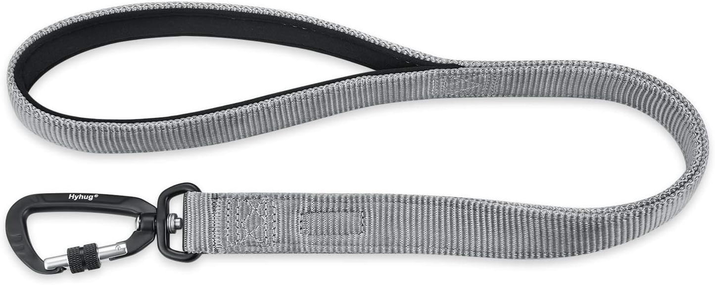 Heavy-Duty 24-Inch Short Dog Leash with Comfortable Handle and Lightweight Aviation Aluminum Clip - Ideal for Daily Walking and Training of Large and Medium Breeds (Sleet Gray)