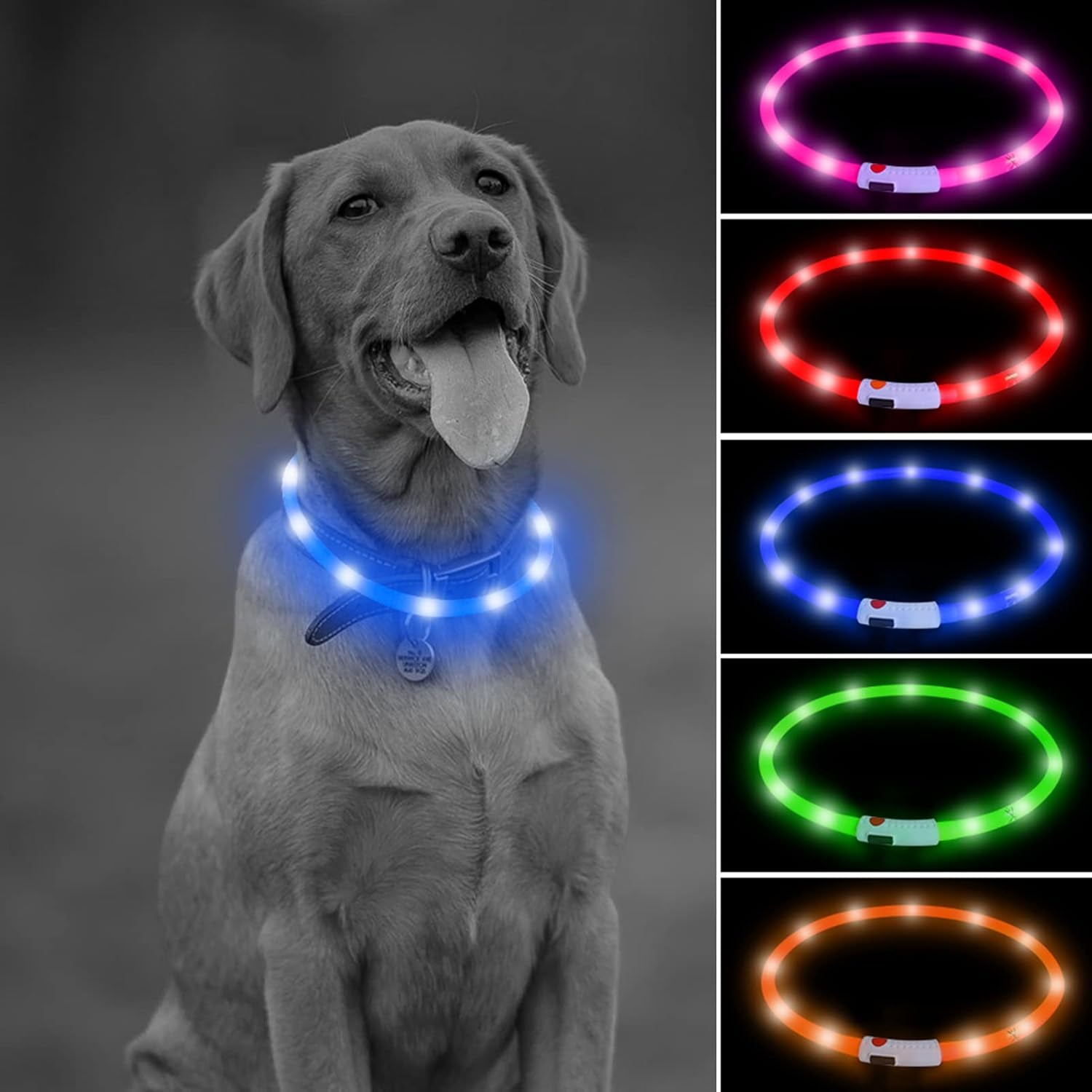 LED Dog Collar Light - USB Rechargeable Flashing LED Necklace for Camping (Blue Silicone)