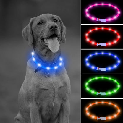 LED Dog Collar Light - USB Rechargeable Flashing LED Necklace for Camping (Blue Silicone)