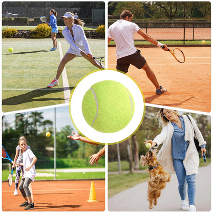 Set of 3 Dog Friendly Tennis Balls