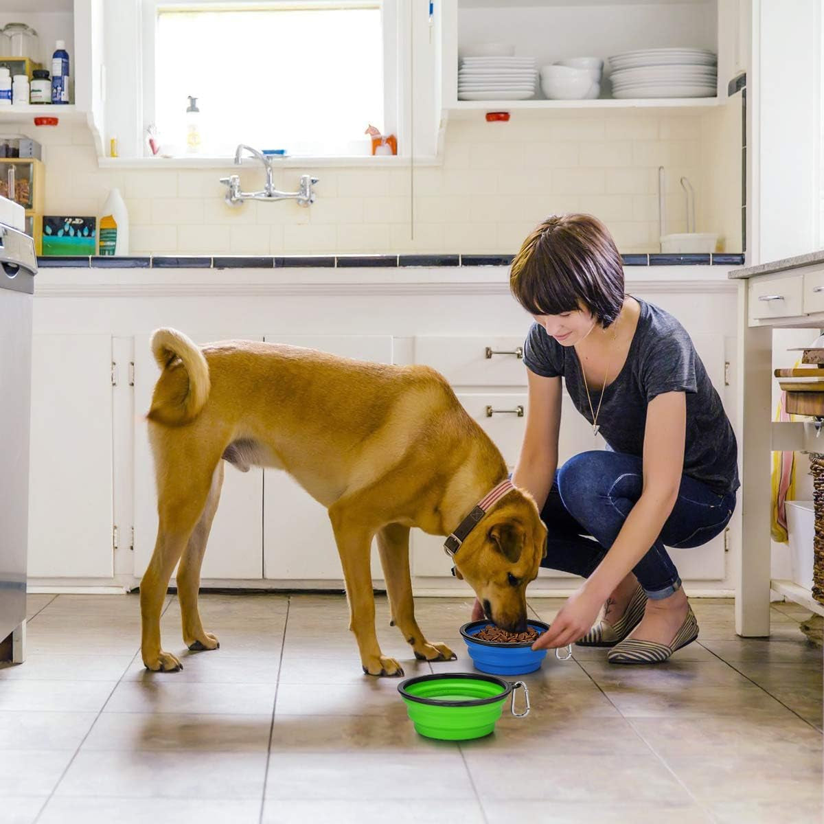 Large Collapsible Dog Bowls - 2 Pack, 34oz Foldable Travel Bowls for Pets, Portable Water and Food Dishes with Clasp, Ideal for Traveling, Walking, and Hiking (Blue & Green)