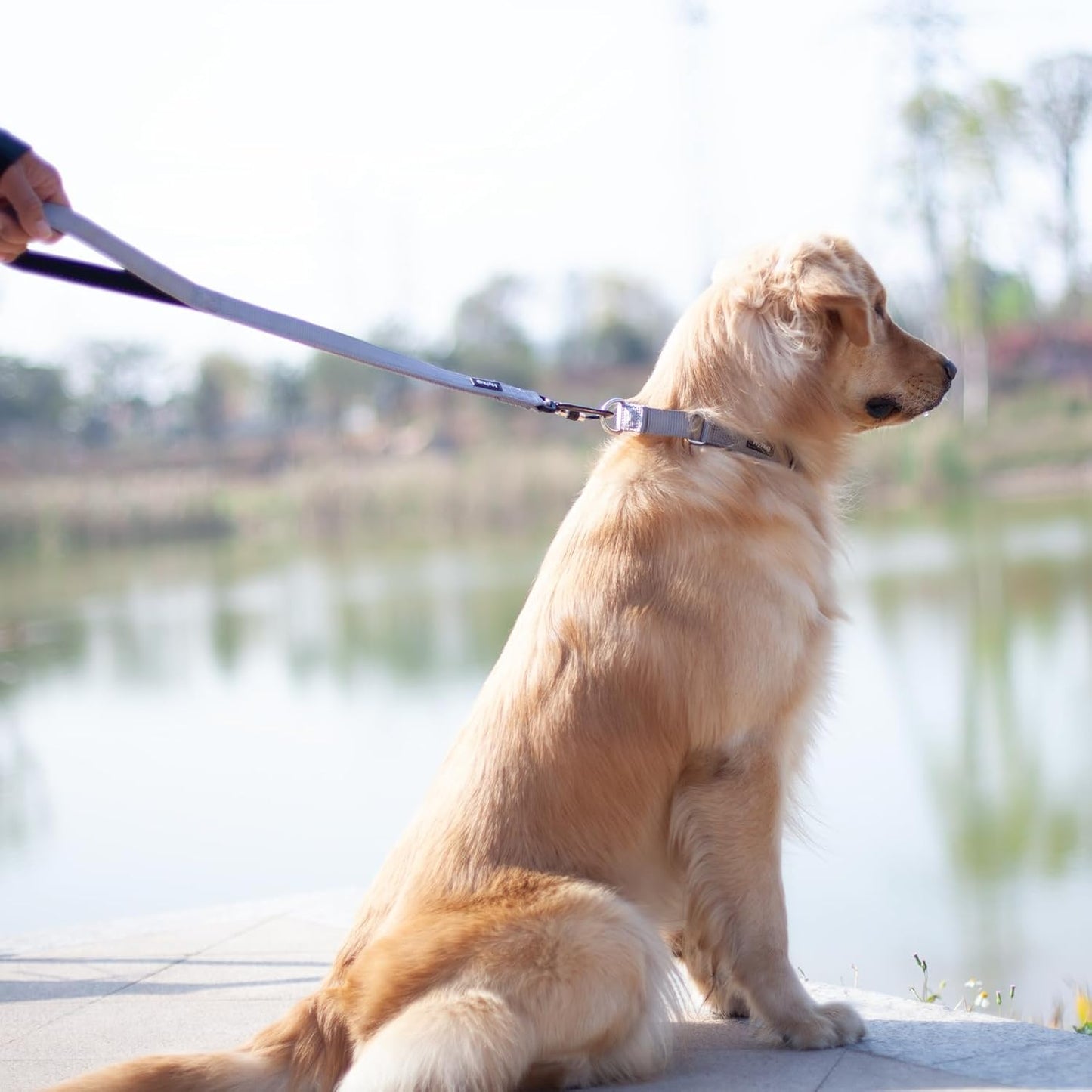 Heavy-Duty 24-Inch Short Dog Leash with Comfortable Handle and Lightweight Aviation Aluminum Clip - Ideal for Daily Walking and Training of Large and Medium Breeds (Sleet Gray)
