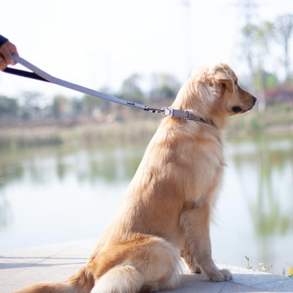 Heavy-Duty 24-Inch Short Dog Leash with Comfortable Handle and Lightweight Aviation Aluminum Clip - Ideal for Daily Walking and Training of Large and Medium Breeds (Sleet Gray)