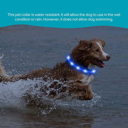 LED Dog Collar Light - USB Rechargeable Flashing LED Necklace for Camping (Blue Silicone)