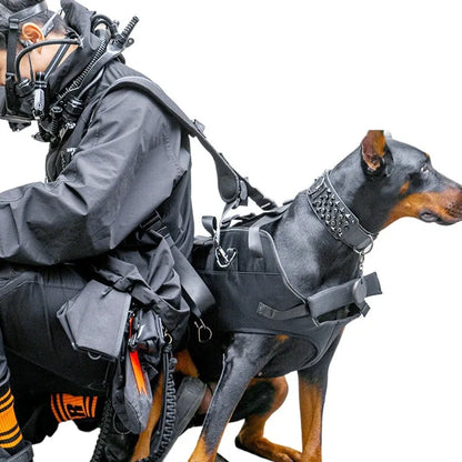 High-Altitude Hiking Carrier for Large Dogs