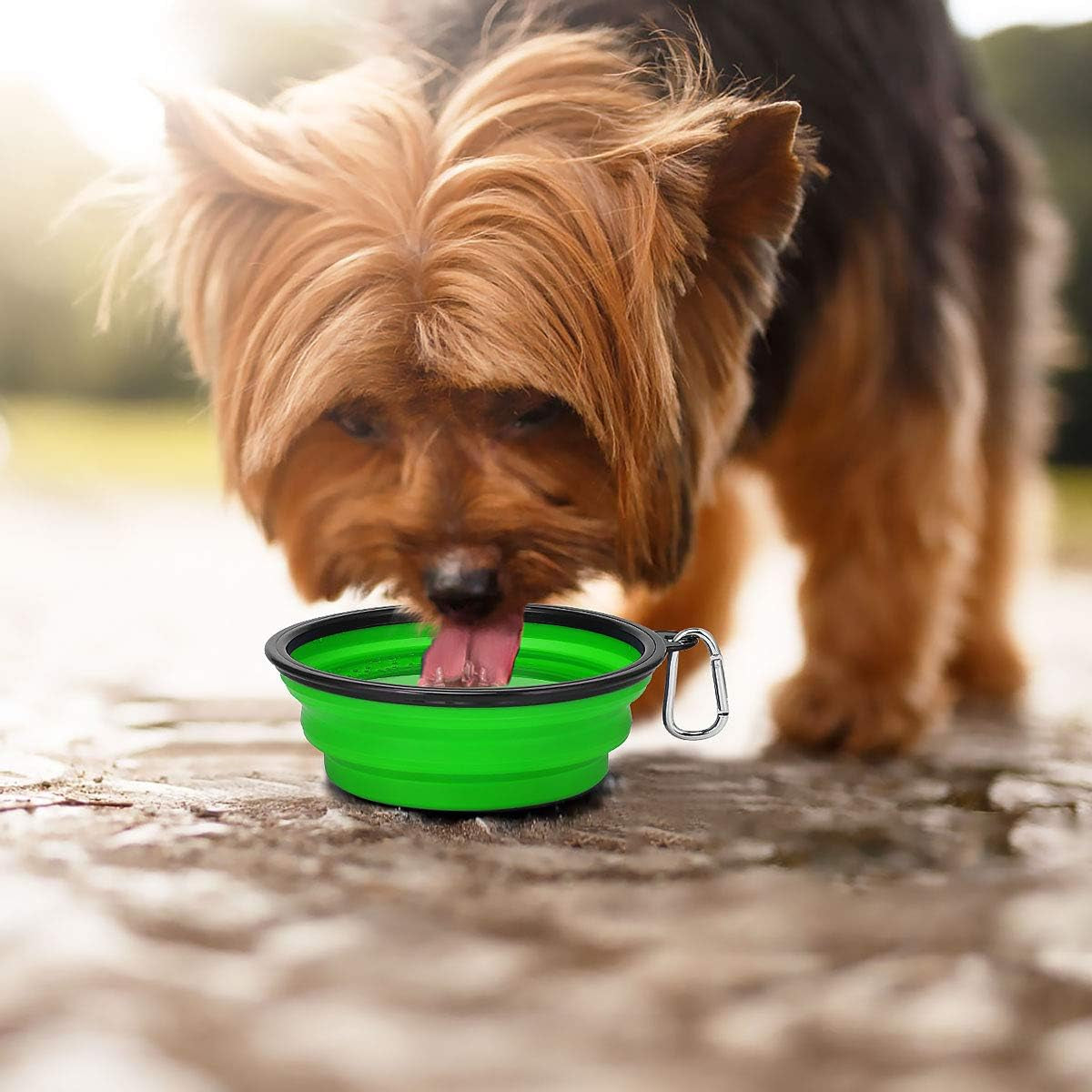 Large Collapsible Dog Bowls - 2 Pack, 34oz Foldable Travel Bowls for Pets, Portable Water and Food Dishes with Clasp, Ideal for Traveling, Walking, and Hiking (Blue & Green)