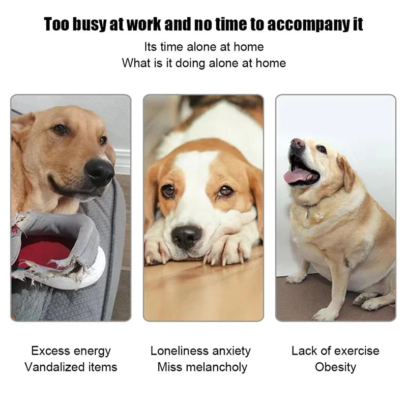 Automatic Tennis Ball Launcher for Dogs