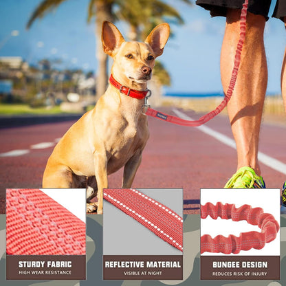 Premium Heavy Duty Bungee Dog Leash for Large Breeds - Shock Absorbing, No Pull Design with Car Seat Belt, Dual Padded Handles, Available in 4.5ft and 6ft Lengths, Red