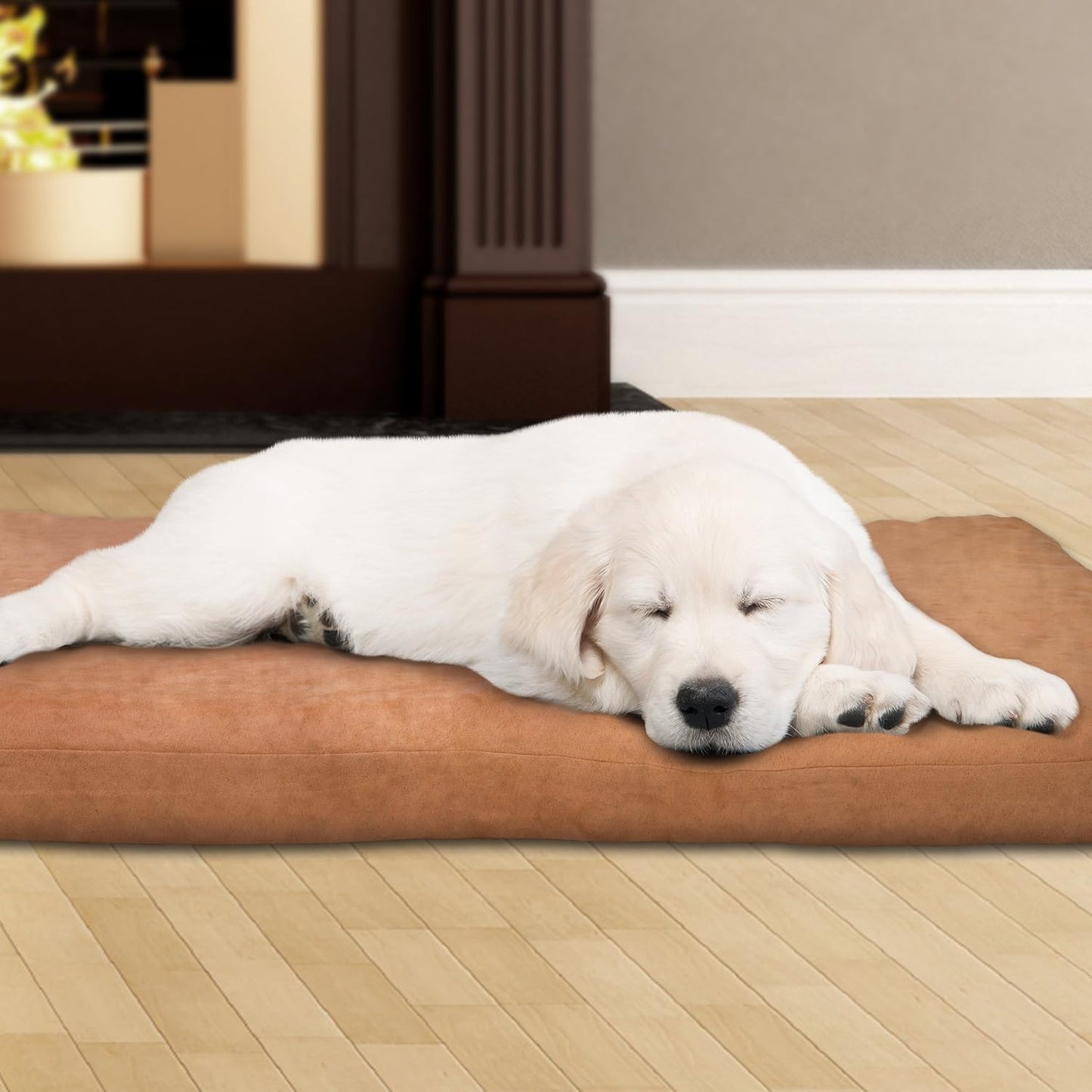 Dog Bed with Removable Cover – 36X27 Pet Bed - 3-Inch Egg Crate Style Foam Orthopedic Dog Bed, Microsuede, and Non-Slip Crate Bed by  (Clay)