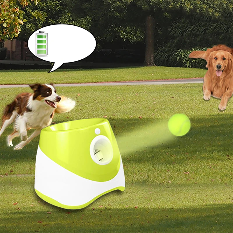 Automatic Tennis Ball Launcher for Dogs