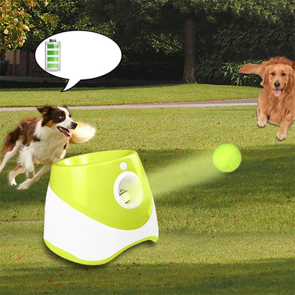 Automatic Tennis Ball Launcher for Dogs